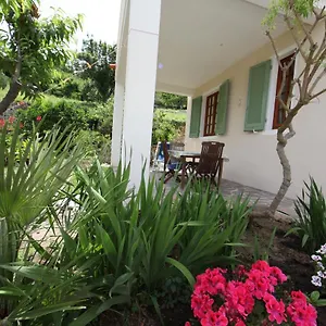 Il Gelsomino Casa vacanze